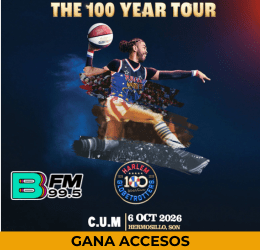 WP Globetrotters